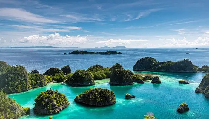 Indonesia The World’s Seafood Treasure