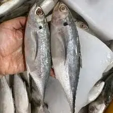 Cakalang