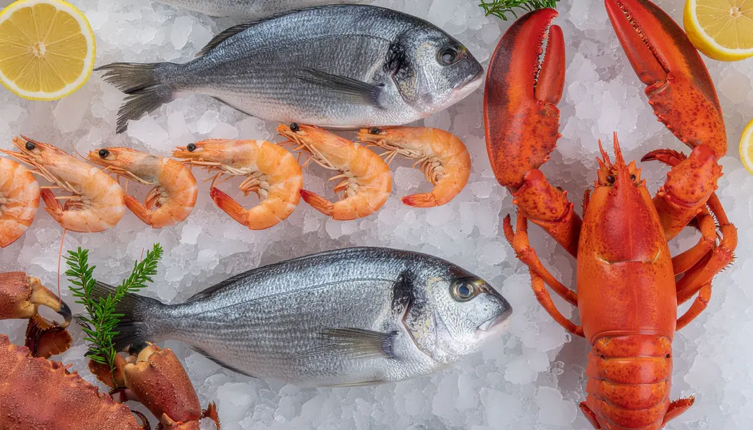 Jasmine Samudra Nusantara