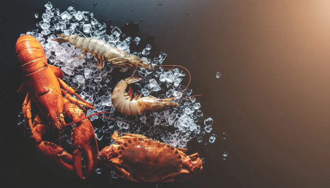 Jasmine Samudra Nusantara