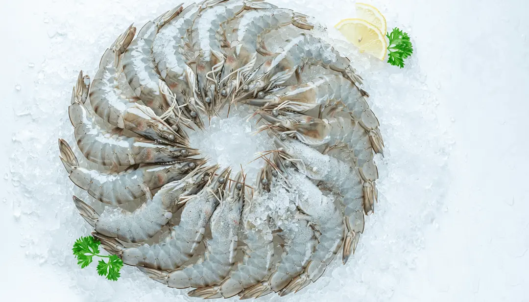 Vannamei shrimp - Udang Vaname